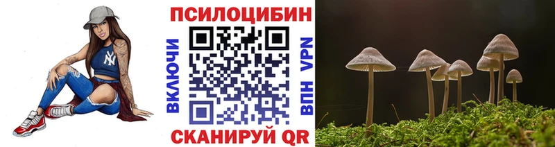 наркошоп  Завитинск  Псилоцибиновые грибы прущие грибы 